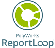 PolyWorks | ReportLoop